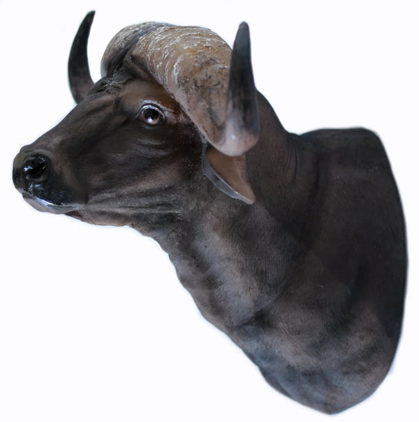 Réplica Cabeça de Búfalo (EM RESINA)